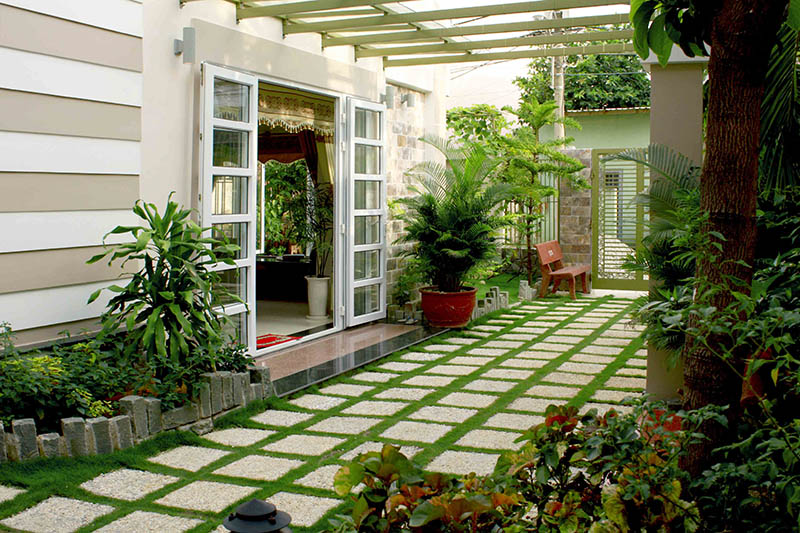 Trồng cây xanh trong nhà hoặc trước nhà